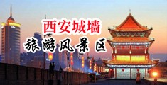 网站大全黄色骚妇中国陕西-西安城墙旅游风景区